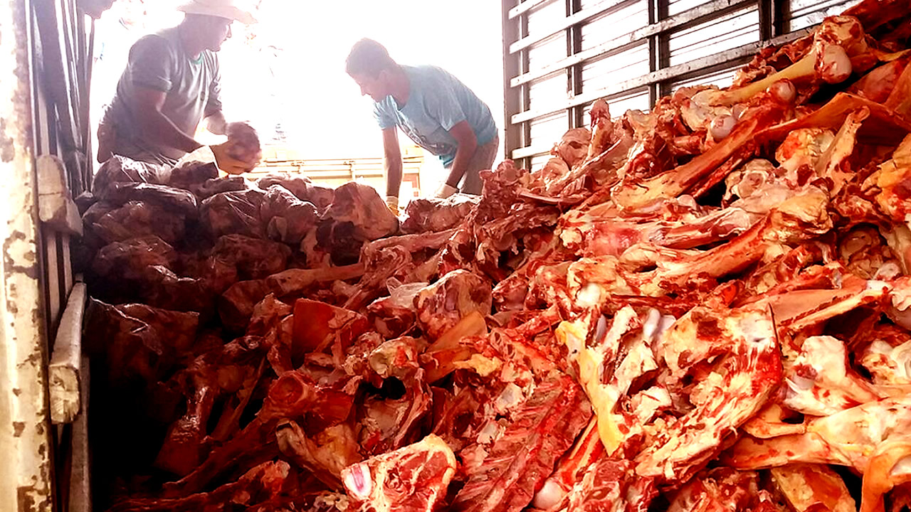 A miséria de Bolsonaro: fila da fome para pegar ossos no açougue é marco histórico