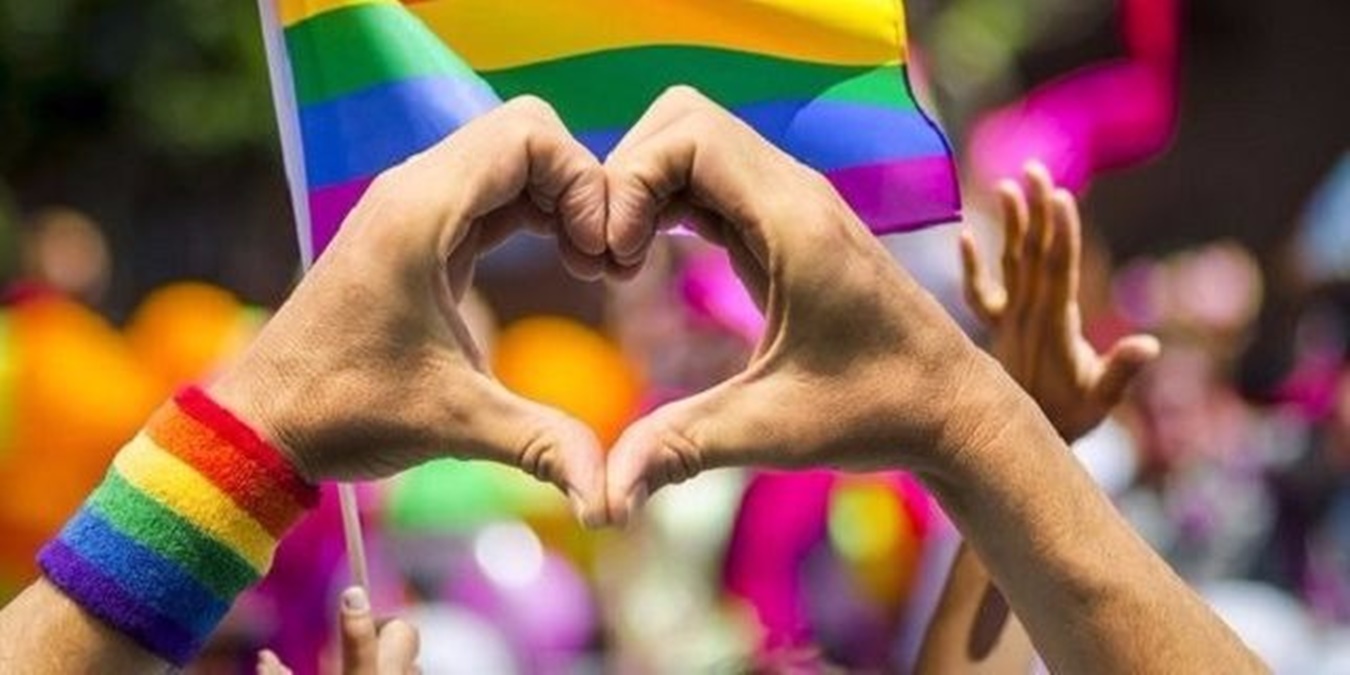 Dia Internacional do Orgulho LGBTQIAPN+, saiba a diversidade na sigla